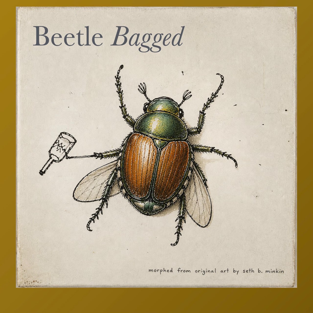 Beetle Bagged