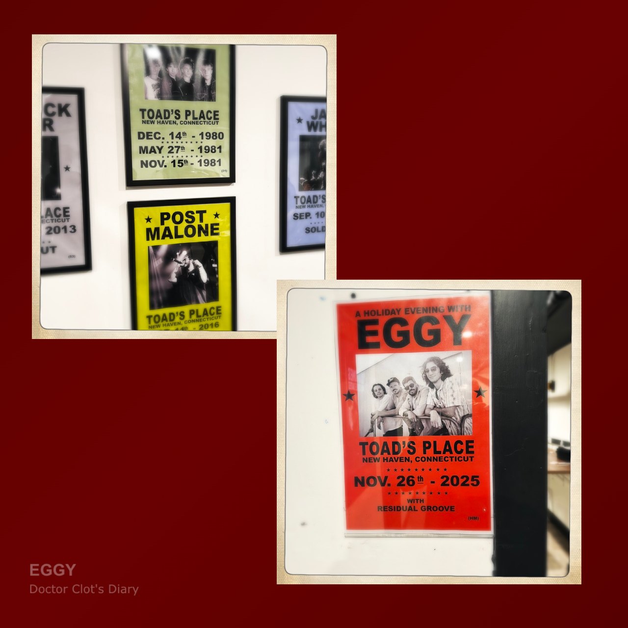Eggy @ Toad's