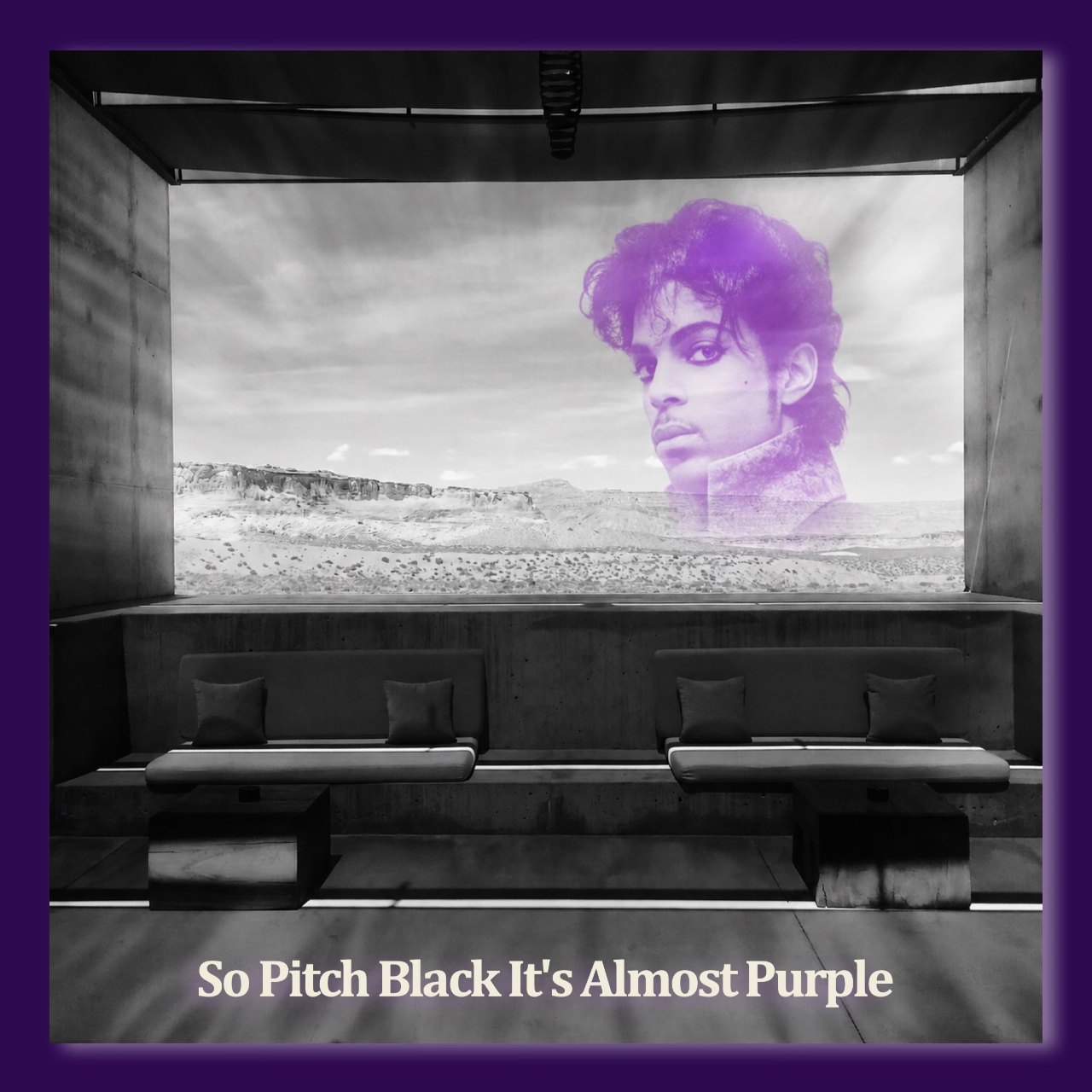 So Pitch Black It's Almost Purple