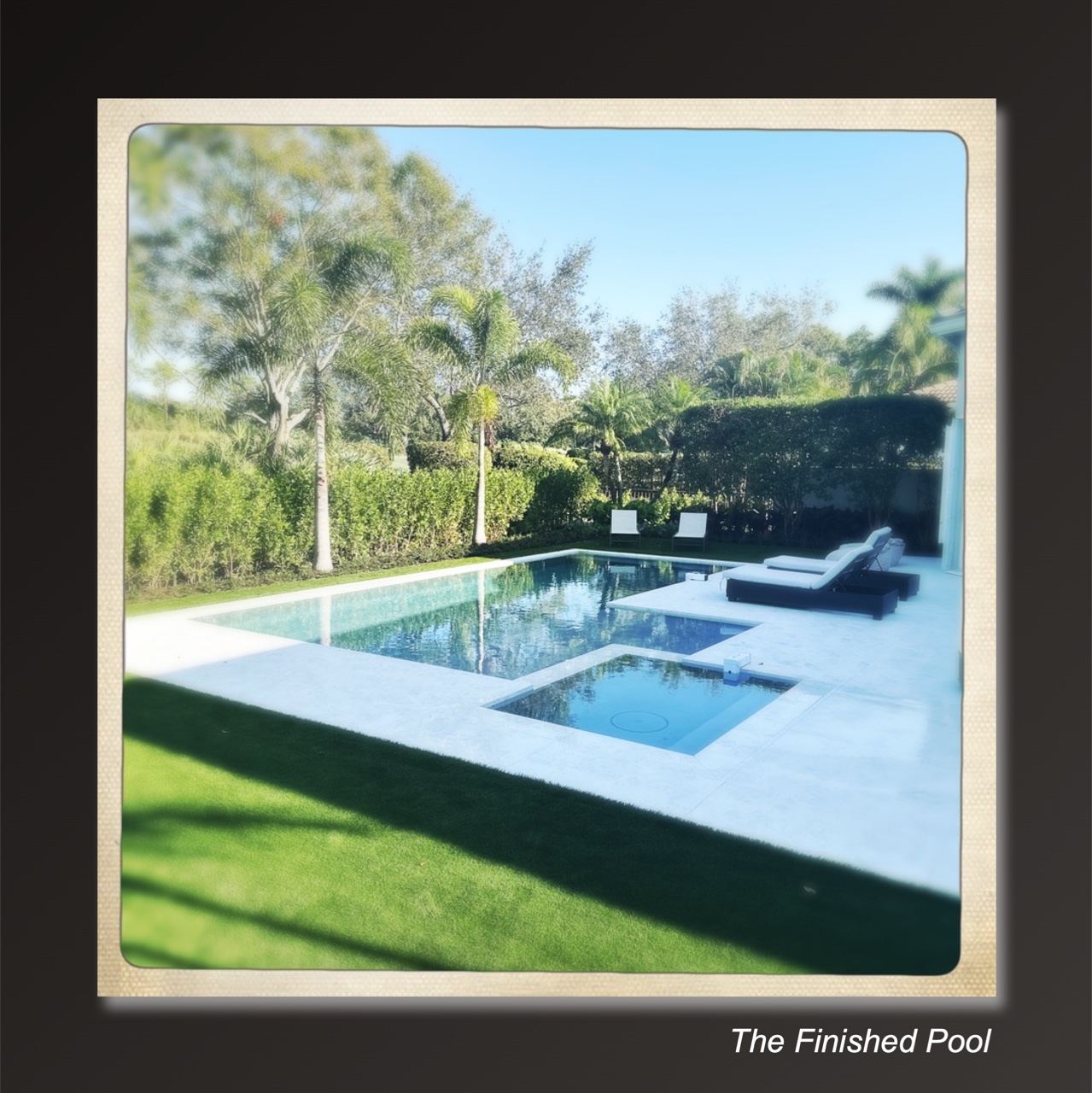 The Pool Guy